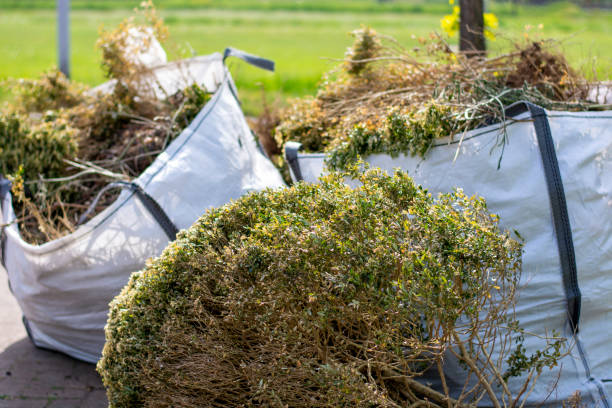 Trash Removal Near Me in Shreveport, LA